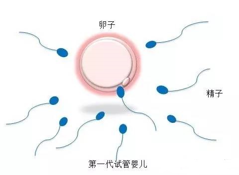 周主任